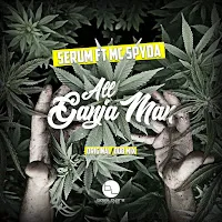 Serum — All Ganja Man Ft $Pyda — обложка